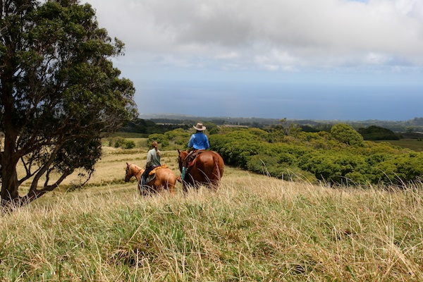 Piiholo Ranch, Maui